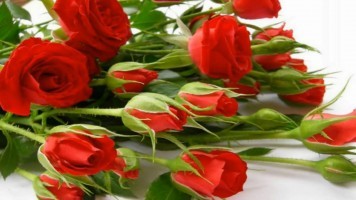 Дарите женщинам цветы