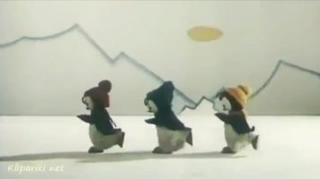 Текст песни - Три пингвина