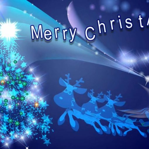 Christmas tree - footage