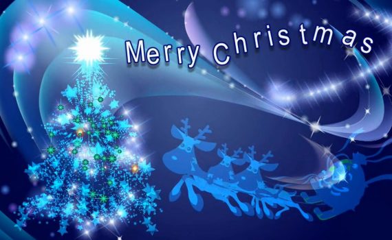Christmas tree - footage
