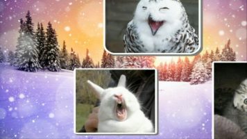 Текст песни - Новогодние игрушки